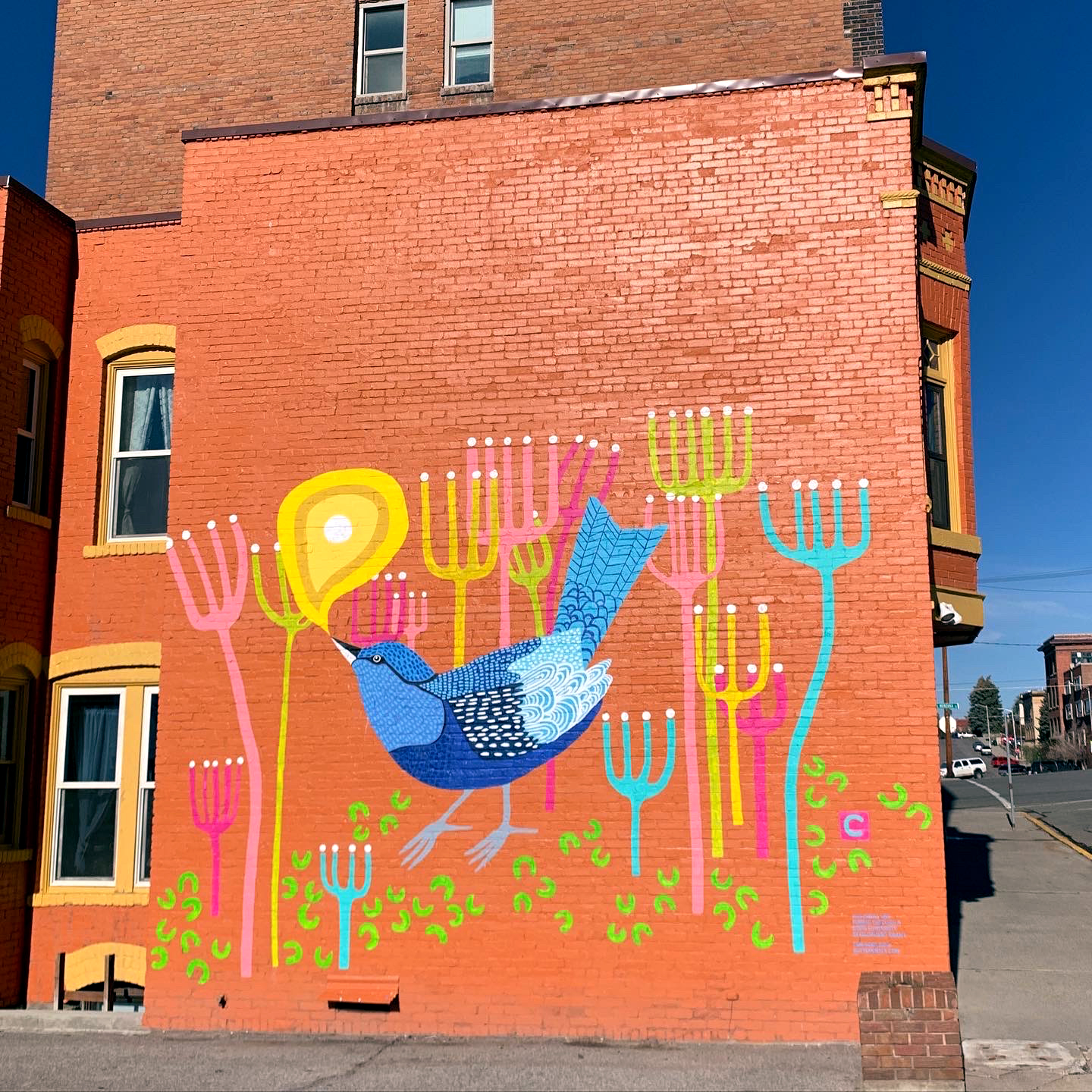 Artist: Cara Murray - May 2023